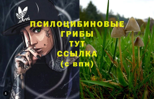 кокаин колумбия Алзамай